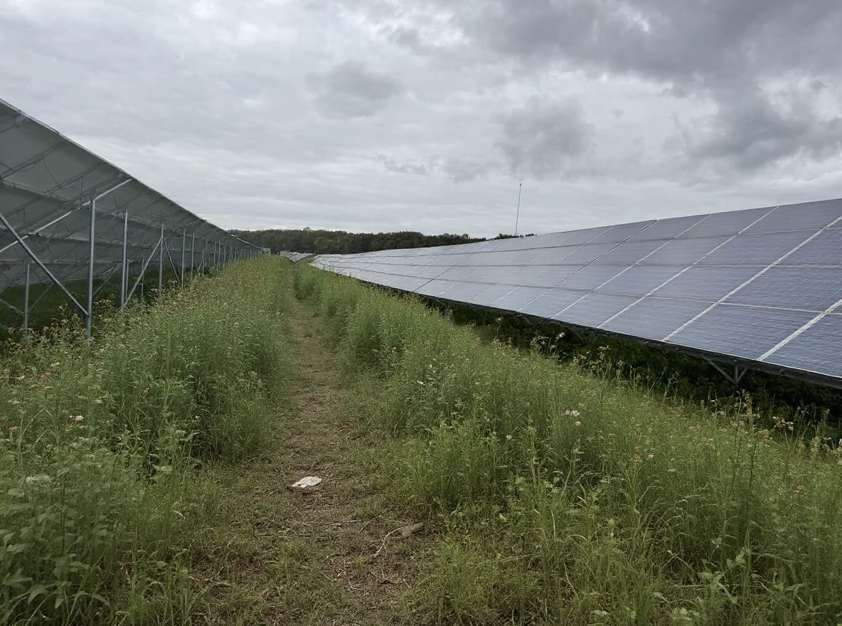 Pozemok pred prvou obhliadkou, nálet, kamene, nerovný terén (orava-solar-park)
